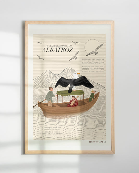 Poster Albatroz